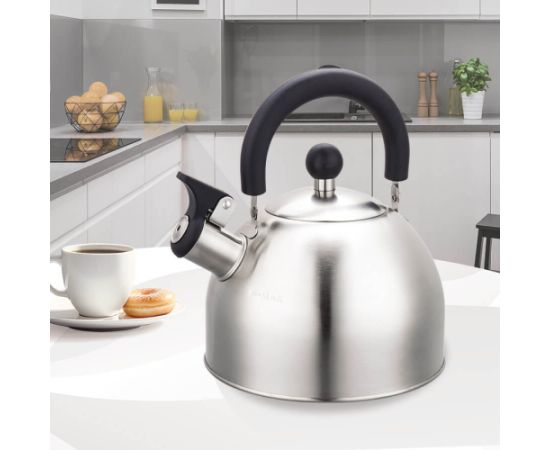 Czajnik 2,0L MR-1300 MAESTRO Чайники (со свистком)