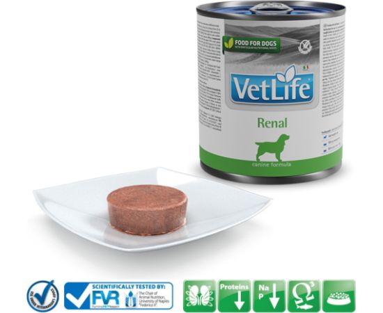 FARMINA Vet Life Canine Renal - wet dog food - 300 g Suņu barība