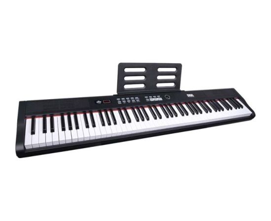 Dna Professional DNA PP 88 - Pianino cyfrowe, pełnowymiarowe klawisze Музыкальные инструменты