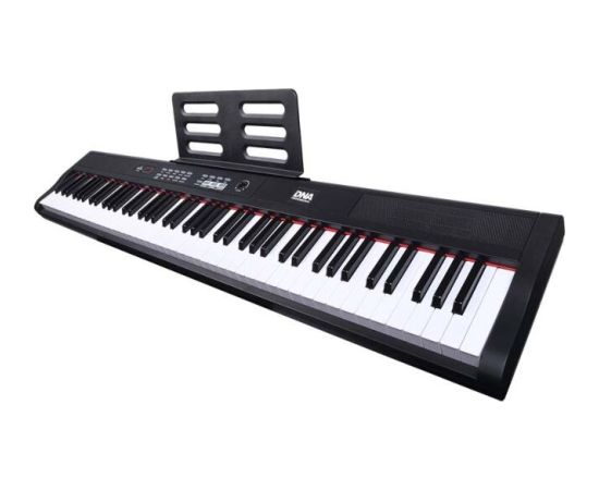 Dna Professional DNA PP 88 - Pianino cyfrowe, pełnowymiarowe klawisze Музыкальные инструменты