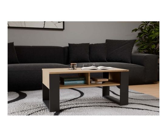 Top E Shop MODERN 2P ARTISAN COFFEE TABLE WITH ANTHRACITE LEG Новинки Для дома и сада 