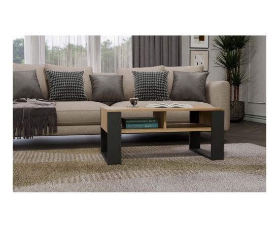Top E Shop MODERN 2P ARTISAN COFFEE TABLE WITH ANTHRACITE LEG Новинки Для дома и сада 