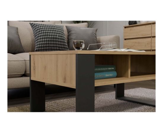 Top E Shop MODERN 2P ARTISAN COFFEE TABLE WITH ANTHRACITE LEG Новинки Для дома и сада 