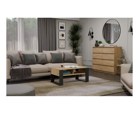 Top E Shop MODERN 2P ARTISAN COFFEE TABLE WITH ANTHRACITE LEG Новинки Для дома и сада 