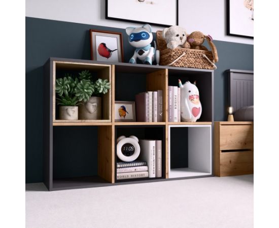Top E Shop Topeshop MALAX 2X3 ANT/ART living room bookcase Jaunumi -Dārzam