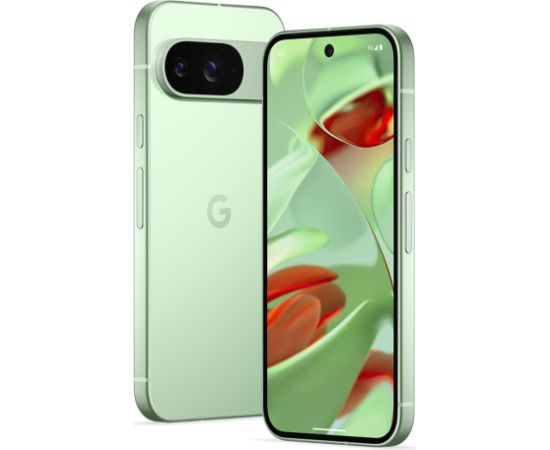 Google Pixel 9 16 cm (6.3"), 12 GB, 128 GB, 50 MP, Android 14, Wintergreen Мобильные телефоны