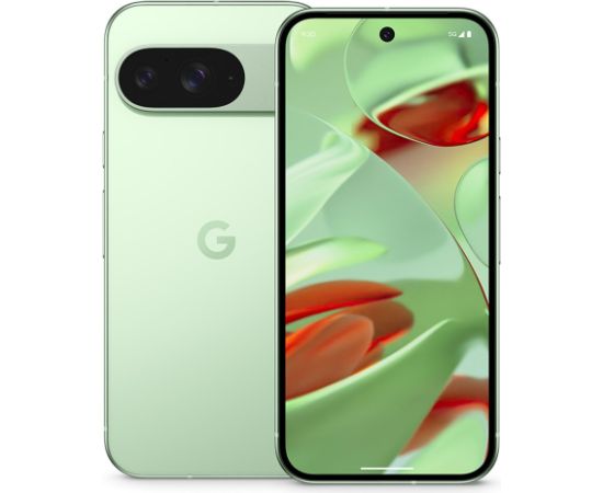 Google Pixel 9 16 cm (6.3"), 12 GB, 128 GB, 50 MP, Android 14, Wintergreen Мобильные телефоны