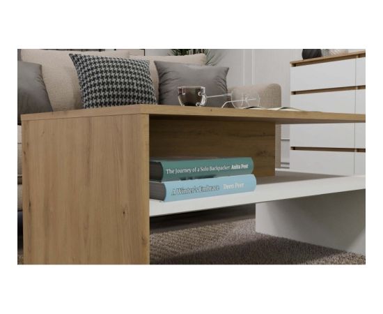 Top E Shop BOSTON artisan/white coffee table bench Jaunumi -Dārzam