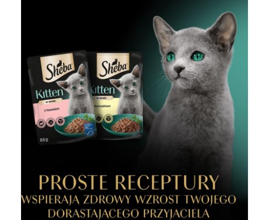 SHEBA Kitten Selection of Flavors in Sauce - wet cat food - 40x85 g Kaķu konservi