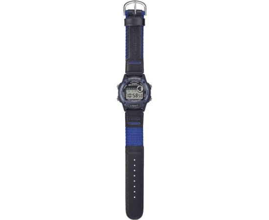 Casio Collection W-220HF-2AVEF Наручные часы