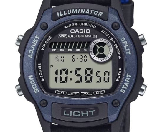 Casio Collection W-220HF-2AVEF Наручные часы