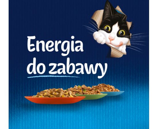 Purina FELIX Fantastic with chicken in jelly - wet cat food - 85g Kaķu konservi