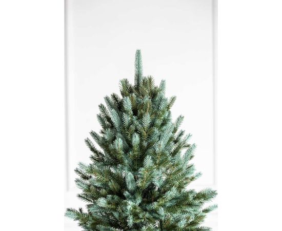 Ziemassvētku egle Alpine 2.1, Zila, 1026 Zari. Mākslīgās egles