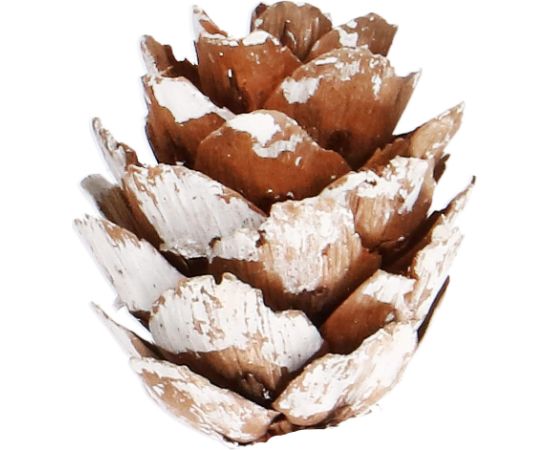 Набор ёлочных украшений Springos CA0858, 3/4/6 см, 101 шт.  Eglīšu rotājumi