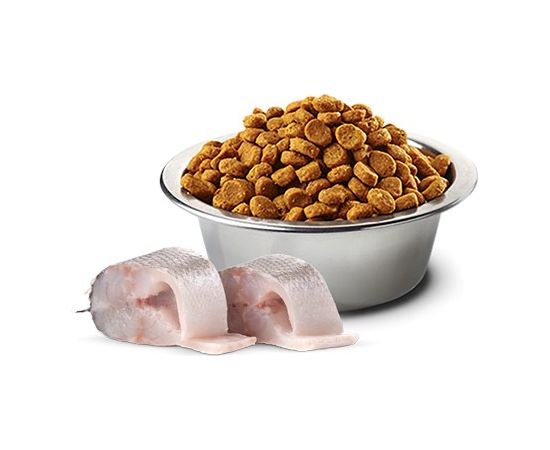 FARMINA N&D Sea Bass, Spirulina and Fennel Adult Mini - dry dog food - 2 kg Suņu barība