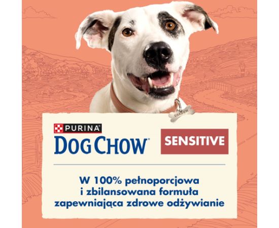 Purina DOG CHOW Sensitive Adult 14 kg Salmon Suņu barība
