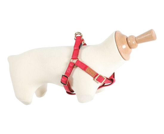 Zolux Szelki IMAO MAYFAIR 25 mm kol. czerwony Citas preces