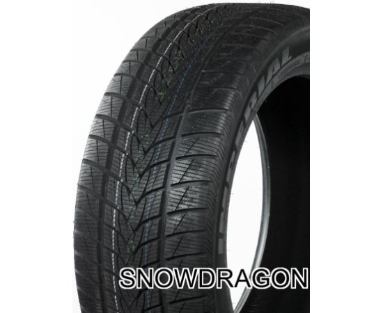 IMPERIAL SNOWDRAGON UHP 255/30R19 91V Зимние покрышки