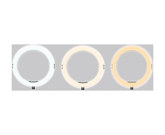 Agfaphoto AGFA ARL11 Ring Light + Tripod Jaunumi - Audio-Video