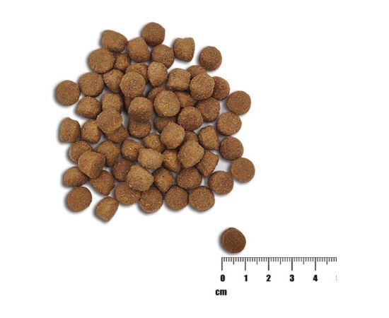 VET EXPERT Raw Paleo Healthy Grain Puppy Salmon and barley - dry dog ​​food - 2 kg Suņu barība