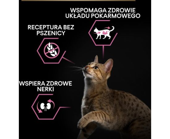 PURINA Pro Plan Delicate digestion Turkey - dry cat food - 400g Kaķu sausā barība