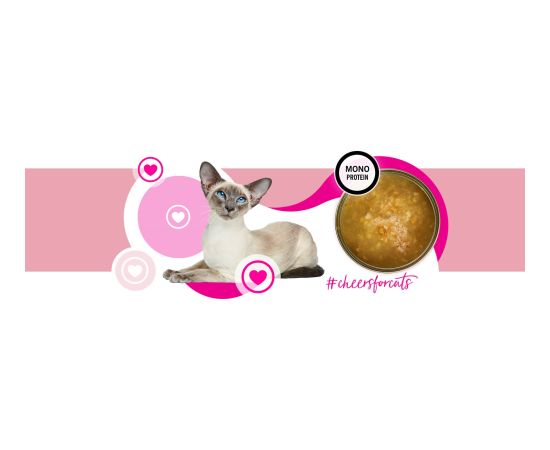 3COTY Cheers! 62. Turkey - wet cat food - 160g Kaķu konservi