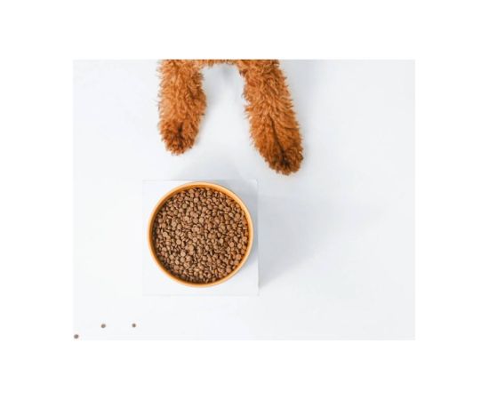 NATURE'S PROTECTION Superior Care Red Coat Adult Small breed Grain free Salmon - dry dog food - 10kg Suņu barība