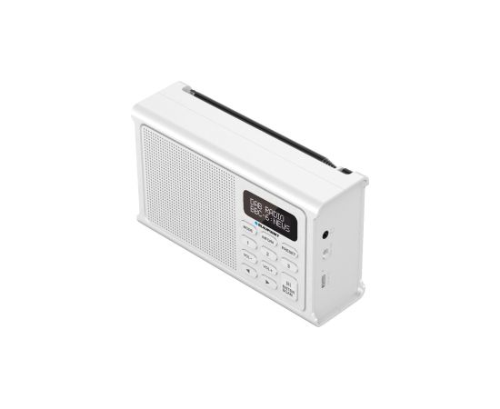 Blaupunkt DR3WH Radio, Radio pulksteņi