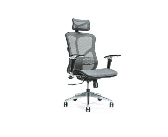 Ergonomic office chair ERGO 500 grey Офисные стулья