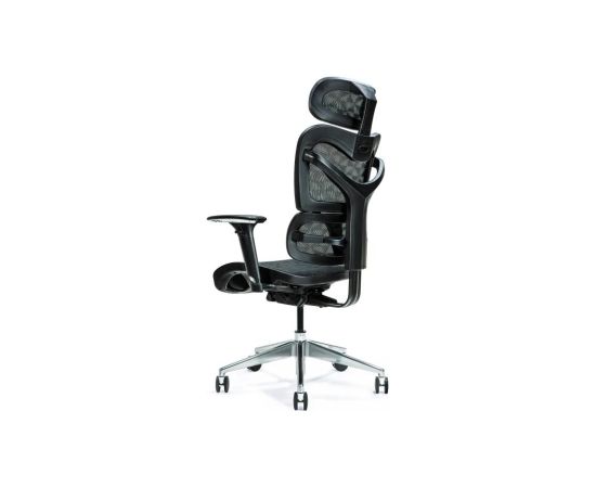 Ergonomic office chair ERGO 600 black Офисные стулья
