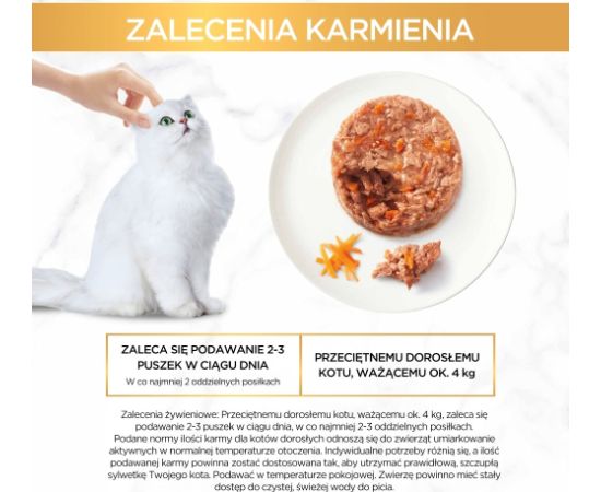 PURINA Gourmet Gold Savoury cake - wet cat food - 48x85g Kaķu konservi