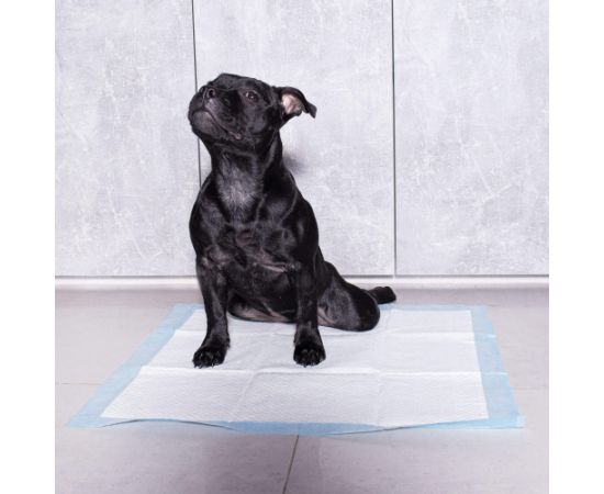 Прокладки гигиенические Springos PA2021 60х90см 100 шт. Citas preces