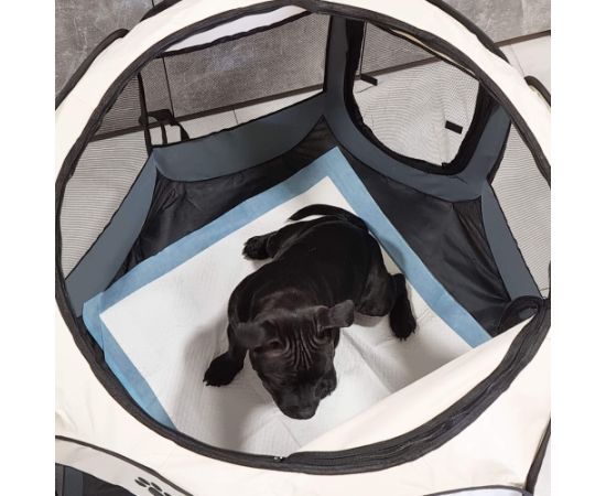 Прокладки гигиенические Springos PA2021 60х90см 100 шт. Citas preces