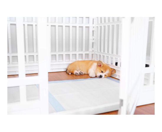 Прокладки гигиенические Springos PA2014 40х60см 50 шт. Citas preces