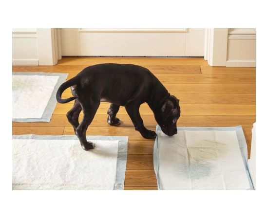 Прокладки гигиенические Springos PA2010 35х45см 10 шт. Citas preces