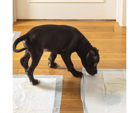 Higiēnas paliktnis Springos PA2013 40x60cm 10 gab Citas preces