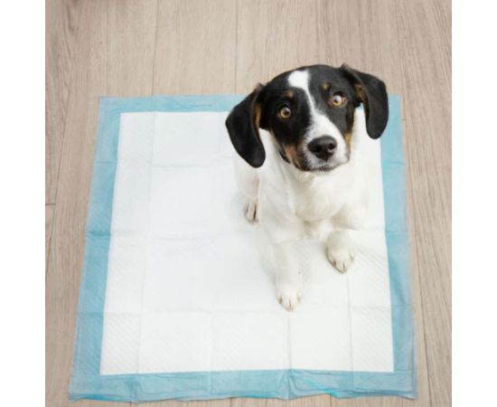 Higiēnas paliktnis Springos PA2013 40x60cm 10 gab Citas preces