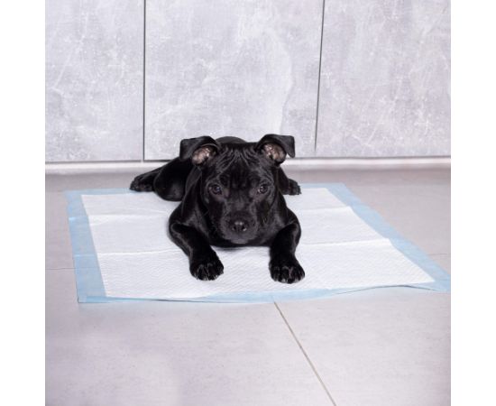 Higienas paliktnis Springos PA2019  60x90cm 10gab. Citas preces