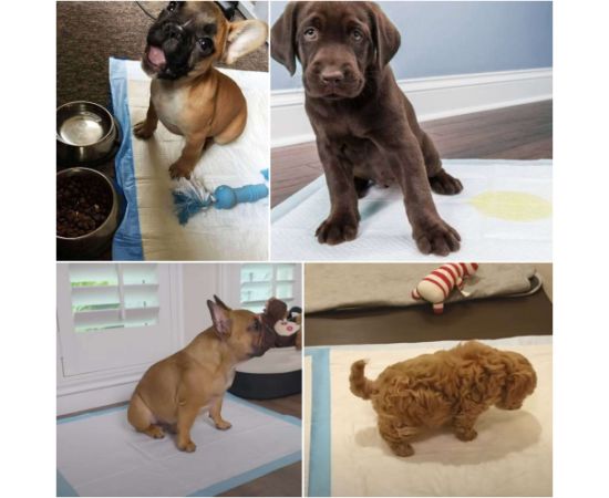 Higiēnas paliktnis Springos PA2017 60x60cm 50gab Citas preces