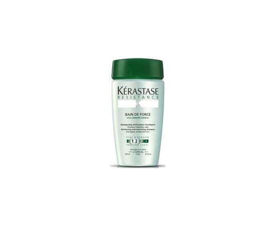 Kerastase Resistance Bain Force Architecte - Shampoo for weakened and slightly damaged hair 500ml Matu kopšana