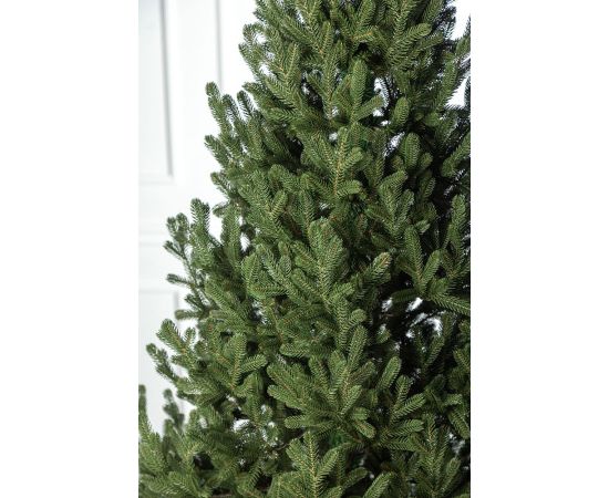 Ziemassvētku egle Vienna 2.5M 1240 Zari Mākslīgās egles