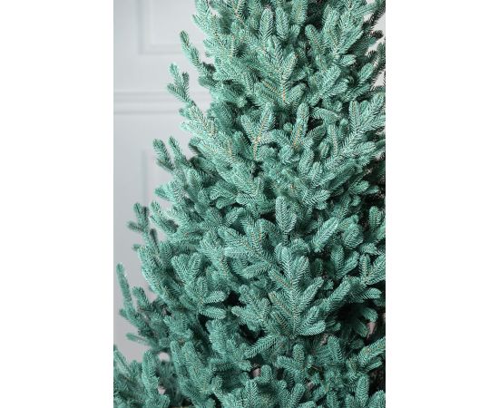 Vienna 1.8M 586 Zari [CLONE] [CLONE] Mākslīgās egles