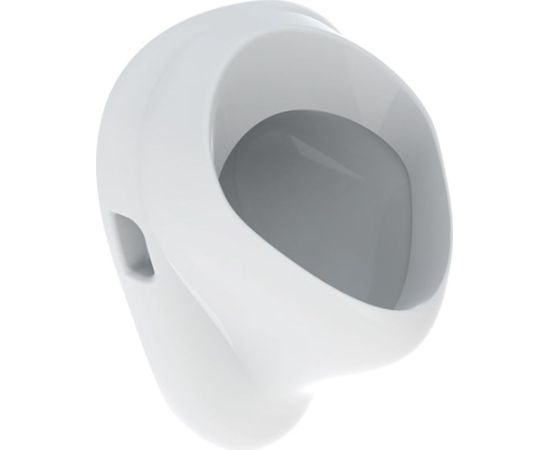 Geberit Felix pisuārs, ieplūde no aizmugures, izplūde uz aizmuguri - gab. Pisuāri