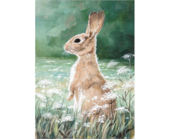 Eļļas glezna 50x70cm, trusis pļavā Jaunumi, mēbeles, māja