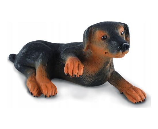Figurka Collecta COLLECTA SZCZENIAK DOBERMANA Figūriņas un varoņi
