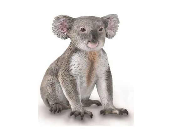 Figurka Collecta COLLECTA MIS KOALA Figūriņas un varoņi
