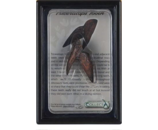 Figurka Collecta COLLECTA ZĄB TRICERATOPSA W OPAKOWANIU Фигурки и герои