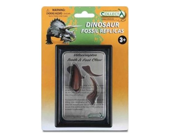 Figurka Collecta COLLECTA ZĄB I PAZUR KOŃCZYNY DOLNEJ VELOCIRAPTORA W OPAKOWANIU Figūriņas un varoņi