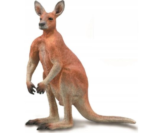 Figurka Collecta COLLECTA CZERWONY KANGUR SAMIEC Figūriņas un varoņi