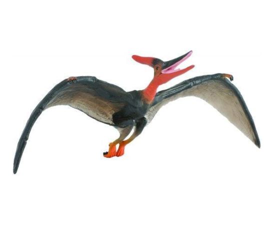 Figurka Collecta Pteranodon - Deluxe 1:40 - 004-88249 Figūriņas un varoņi